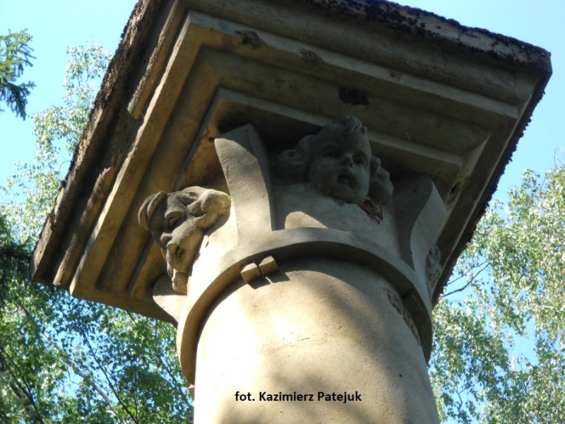kolumna-3-maja-w-leonpolu-3-fot-kazimierz-patejuk-small225