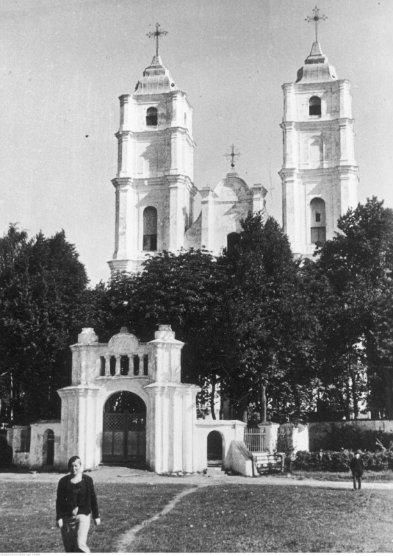 Sanktuarium maryjne w Agłonie na Łotwie, Instytut POLONIKA