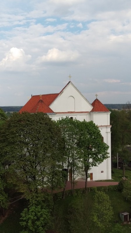  Fara Witoldowa