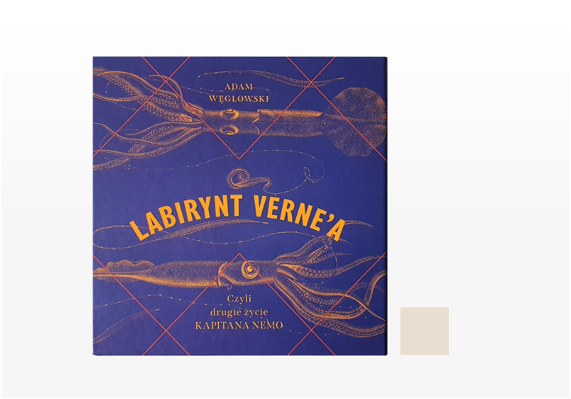 Labirynt Verne’a, czyli drugie życie kapitana Nemo